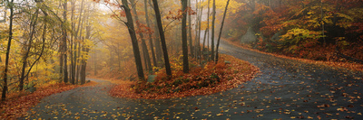 Winding Road Through Mountainside in Autumn, Monadnock Mountain, New Hampshire, USA
