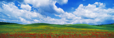 Open Field, Hill, Clouds, Blue Sky, Tuscany, Italy