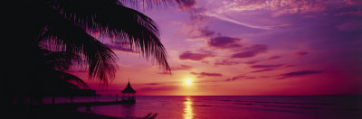 Sunset, Palm Trees, Beach, Water, Ocean, Montego Bay Jamaica