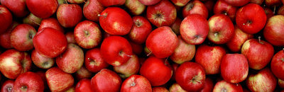Close-up of Red Apples