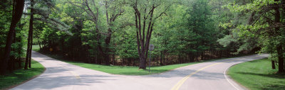 Fork in a Road Surrounded by Trees, Park Road, Letchworth State Park, New York State, USA