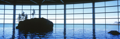 Shedd Aquarium, Chicago, Illinois, USA