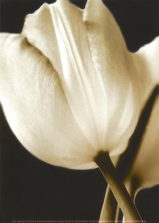 Buy Radiance I at AllPosters.com