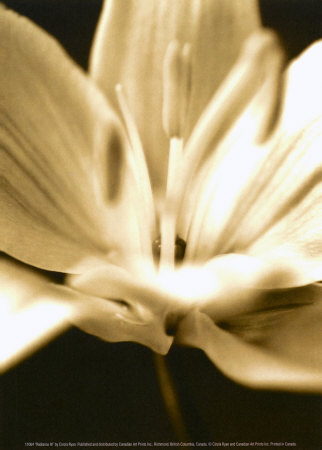 Buy Radiance III at AllPosters.com