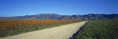 Road Along Farm, Antelope Valley, California, USA