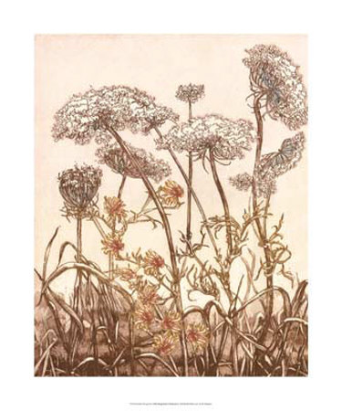 Field of Lace II