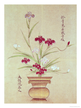 Orchids