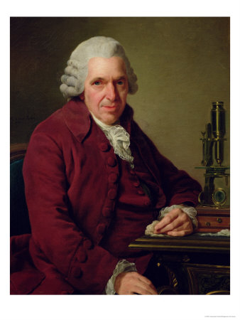 Portrait of Louis Jean Marie Daubenton 1791