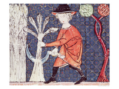 July: the Harvest
