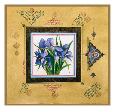 Iris