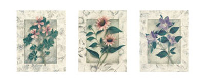 Healing Herbs, Panel II