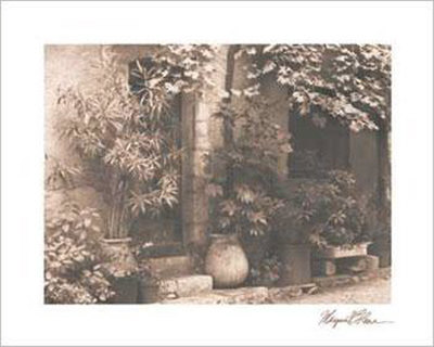 Saint Paul de Vence, Doorway with Foliage