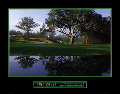 Buy Achievement: Golf at AllPosters.com