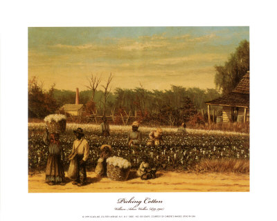 Picking Cotton