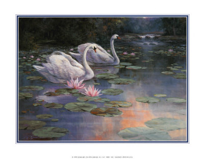 Swans and Waterfall