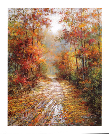 Autumn Trail