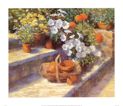 Trugs, Pots and White Flowers