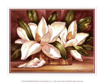 Blossoming Magnolias