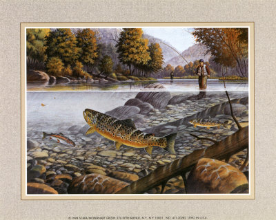 Jumping Trout