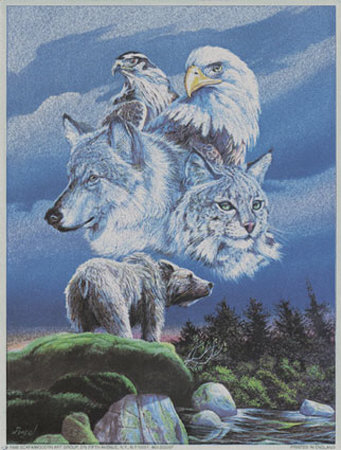 North American Wildlife