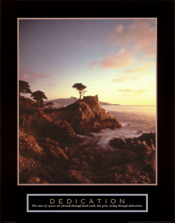 Dedication: Lone Cypress