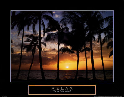 Relax: Palm Trees