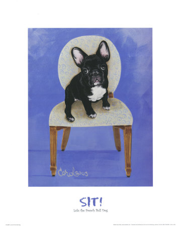 French Bull Dog