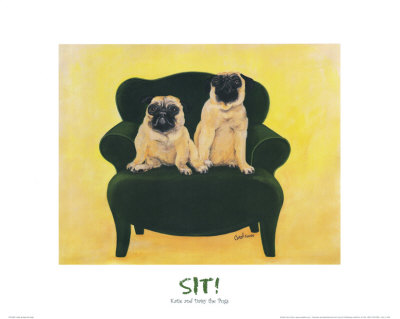 Katie and Daisy the Pugs