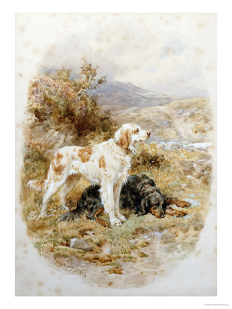 Buy at Art.com