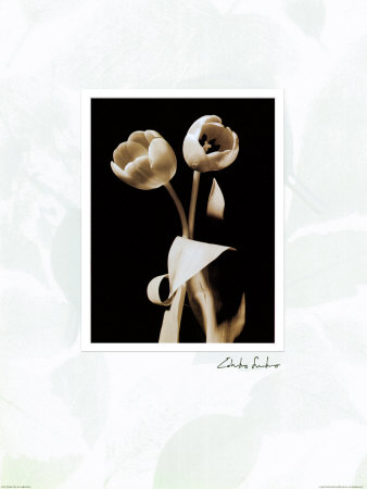 Buy Black and White VI at AllPosters.com