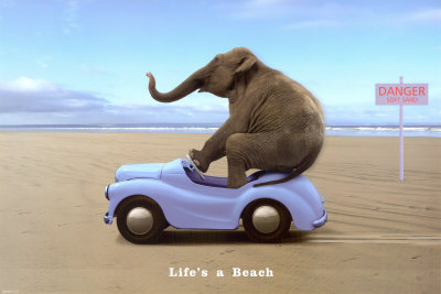Life`s A Beach
