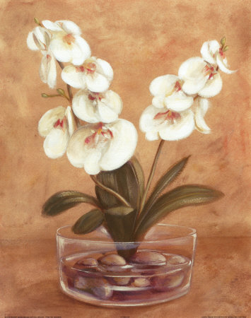 Red and White Flowers in Bowl