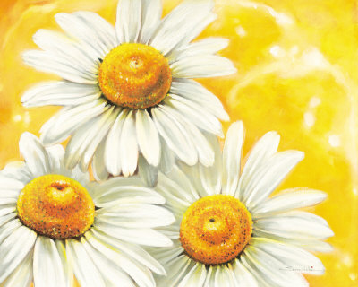  FLORES