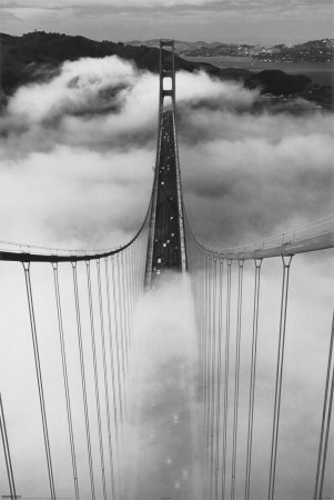 Misty Morning