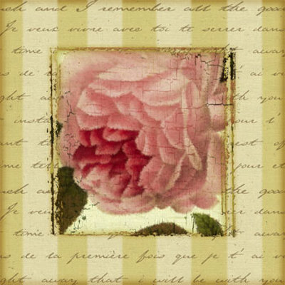 Rose and Romance II