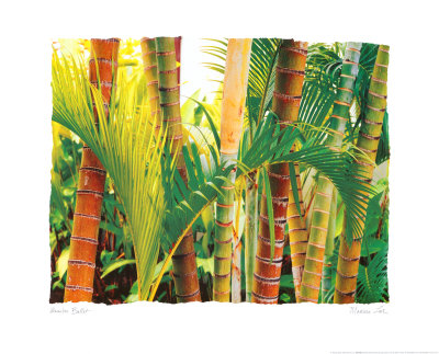 Buy Bamboo Ballet at AllPosters.com
