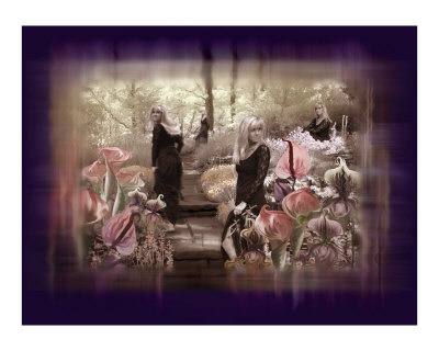 Toxic Garden-Tribute to Stevie Nicks