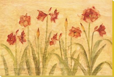 Row of Red Amaryllis