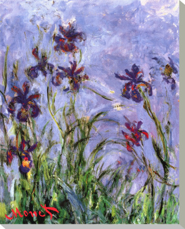 Buy Irises at AllPosters.com