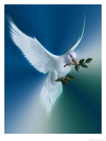 Buy Dove of Peace at AllPosters.com