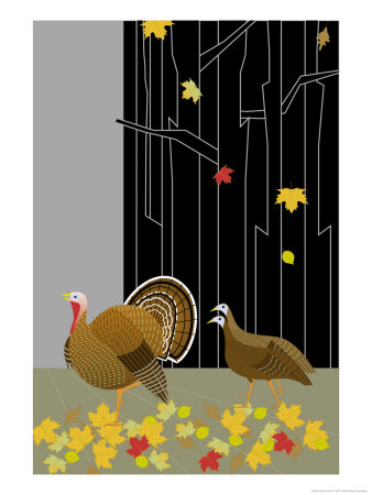 Turkeys in a Forest