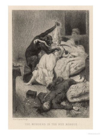 The Murders in the Rue Morgue the Beast in the Bedroom
