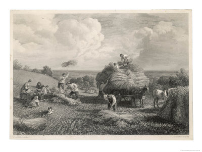 Loading the Hay Cart