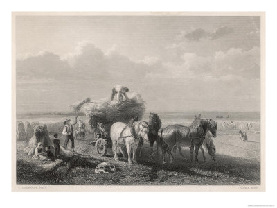 Loading the Hay Cart