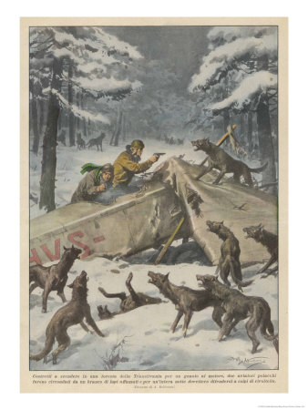 Two Polish Aviators Defend Themselves Against Wolves