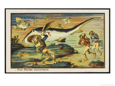 Shark-Hunt