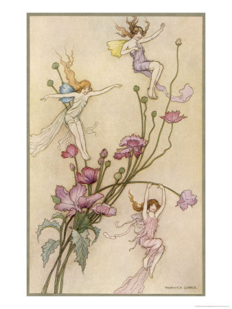 Fairies and Flowers