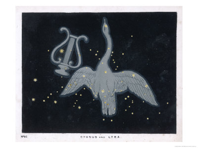 The Constellation of Cygnus, a Flying Swan, and Lyra, That of an Ancient Greek Lyre