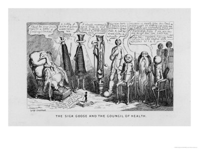 "The Sick Goose and the Council of Health," a Satire on Patent Medicines