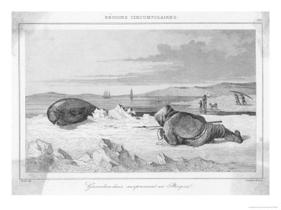 Greenland Hunter Stalks a Seal
